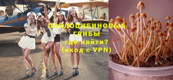 МДПВ Пересвет