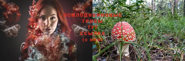 СК Переславль-Залесский