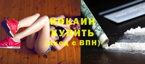МДПВ Пересвет